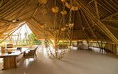 Туры в отель Menjangan Dynasty Resort Beach Glamping & Dive Centre