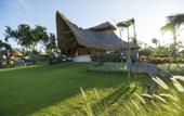 Туры в отель Menjangan Dynasty Resort Beach Glamping & Dive Centre
