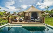 Туры в отель Menjangan Dynasty Resort Beach Glamping & Dive Centre