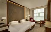 Туры в отель Hyatt Regency Moscow Petrovsky Park