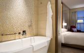 Туры в отель Hyatt Regency Moscow Petrovsky Park