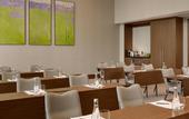 Туры в отель Hyatt Regency Moscow Petrovsky Park