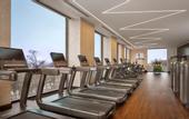 Туры в отель Hyatt Regency Moscow Petrovsky Park
