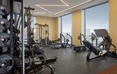 Туры в отель Hyatt Regency Moscow Petrovsky Park