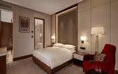 Туры в отель Hyatt Regency Moscow Petrovsky Park
