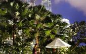 Туры в отель Crown Plaza Mutiara