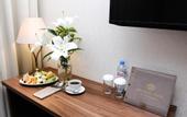 Туры в отель Diplomat Hotel