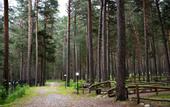Туры в отель Марал