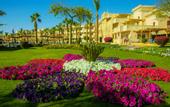 Туры в отель Pickalbatros Palace Resort Hurghada