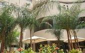 Туры в отель Crowne Plaza