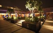 Туры в отель Crowne Plaza Hotel Gurgaon