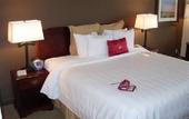 Туры в отель Crowne Plaza Atlanta Airport