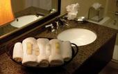 Туры в отель Crowne Plaza Atlanta Airport
