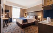 Туры в отель Holiday Inn Kayseri - Duvenonu