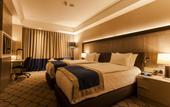 Туры в отель Holiday Inn Kayseri - Duvenonu