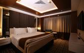 Туры в отель Holiday Inn Kayseri - Duvenonu
