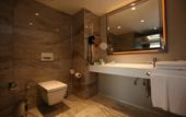 Туры в отель Holiday Inn Kayseri - Duvenonu