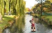 Туры в отель Crowne Plaza Christchurch