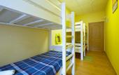 Туры в отель CityLime hostel