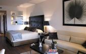 Туры в отель Senator Banus Spa Hotel