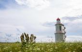 Туры в отель Асти РУМС