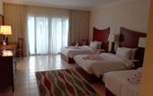 Туры в отель Old Vic Sharm Resort