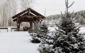 Туры в отель Чайка Парк-отель
