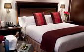 Туры в отель Crowne Plaza Madrid Airport