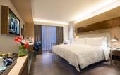Туры в отель Le Meridien Goa