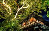Туры в отель Nam Nghi Phu Quoc Island