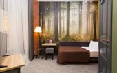 Туры в отель Station Hotel Premier S10