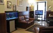 Туры в отель Hotel Assisi