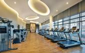Туры в отель Marriott Hotel Al Forsan