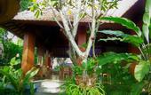 Туры в отель Inata Monkey Forest Hotel
