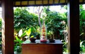 Туры в отель Inata Monkey Forest Hotel