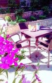 Туры в отель Sani Hotel