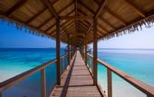 Туры в отель Reethi Faru Resort