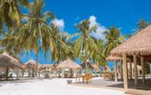 Туры в отель Reethi Faru Resort