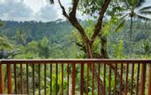Туры в отель Padma Resort Ubud