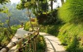 Туры в отель Padma Resort Ubud