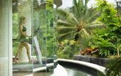 Туры в отель Padma Resort Ubud