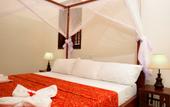 Туры в отель Villa Serenity