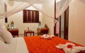 Туры в отель Villa Serenity
