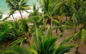 Туры в отель Ceylon Sea