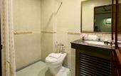 Туры в отель Thipurai City Hotel