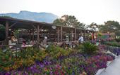 Туры в отель Crystal Flora Beach Resort