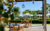 Туры в отель Crystal Springs Beach Hotel