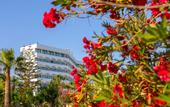 Туры в отель Crystal Springs Beach Hotel