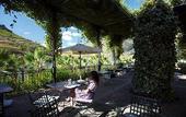 Туры в отель The Vintage House Douro