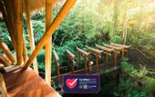 Туры в отель The Udaya Resorts and Spa
